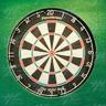 Australian Launch of Wild Bull Dart Board